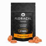 Live Rosin Tropical Punch Gummies 10mg