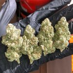 #Alpha OG