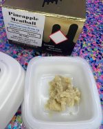 Mighty Melts

Pineapple Meatball Cold Cure Live Rosin, 1.0g - Image 2